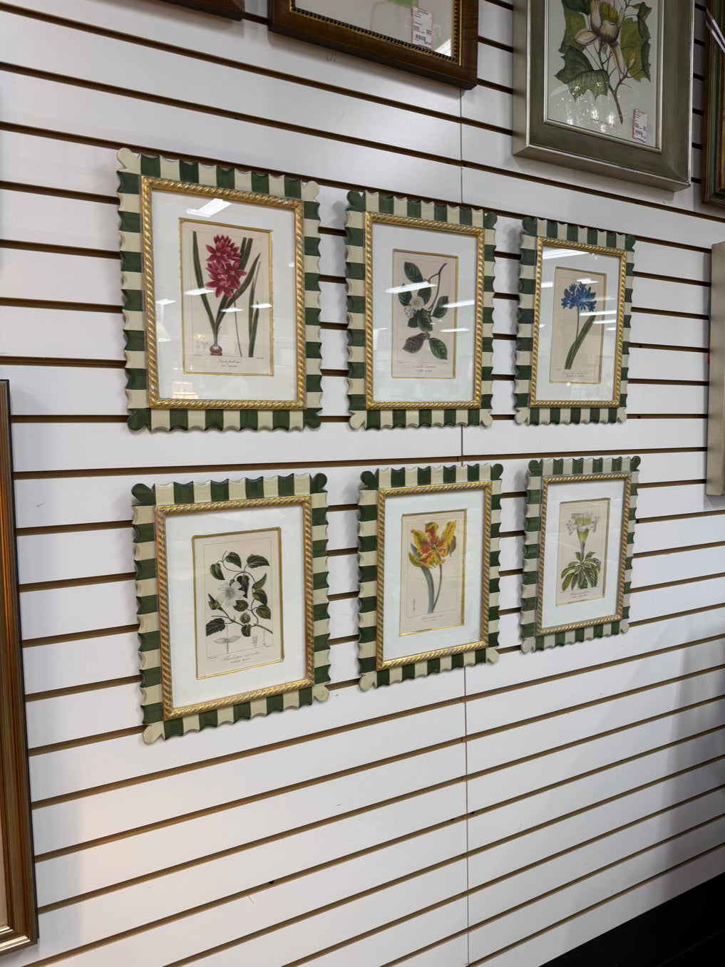 TROWBRIDGE Green & White Flower Botanicals Set Of 6 Framed Prints