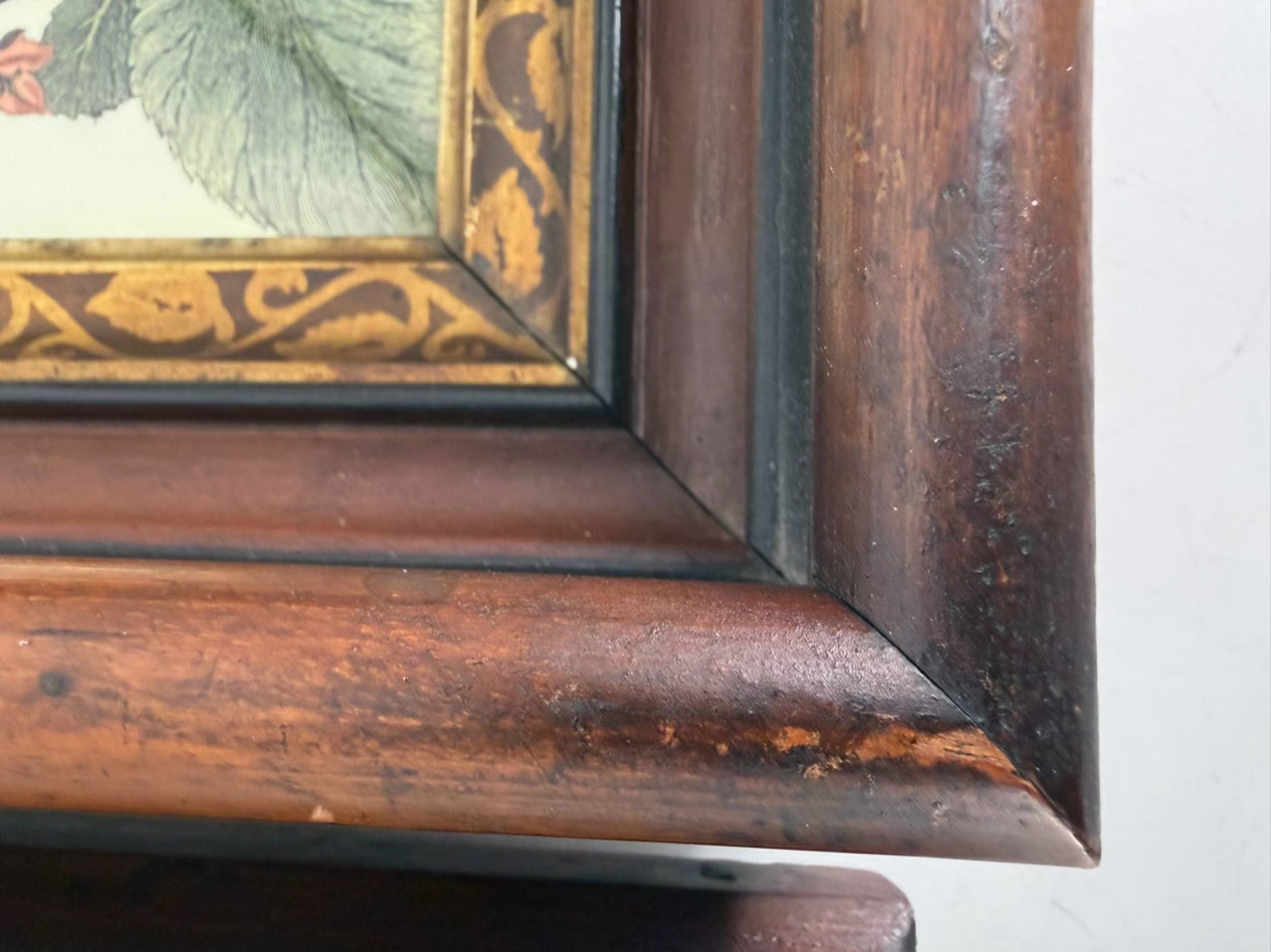 Butterfly Framed Pair Of Prints In Antique Wood Frames