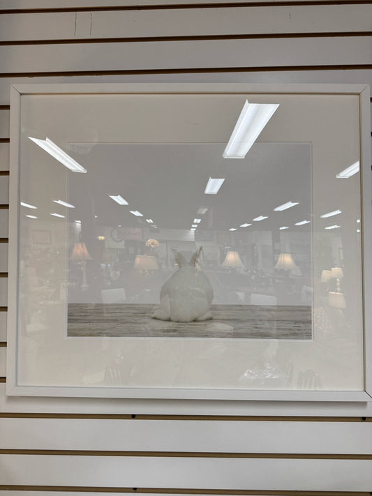 SHARON MONTROSE "Baby Bunny No. 3" Print in White Frame