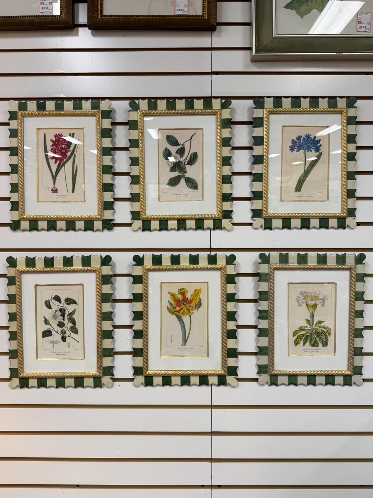 TROWBRIDGE Green & White Flower Botanicals Set Of 6 Framed Prints