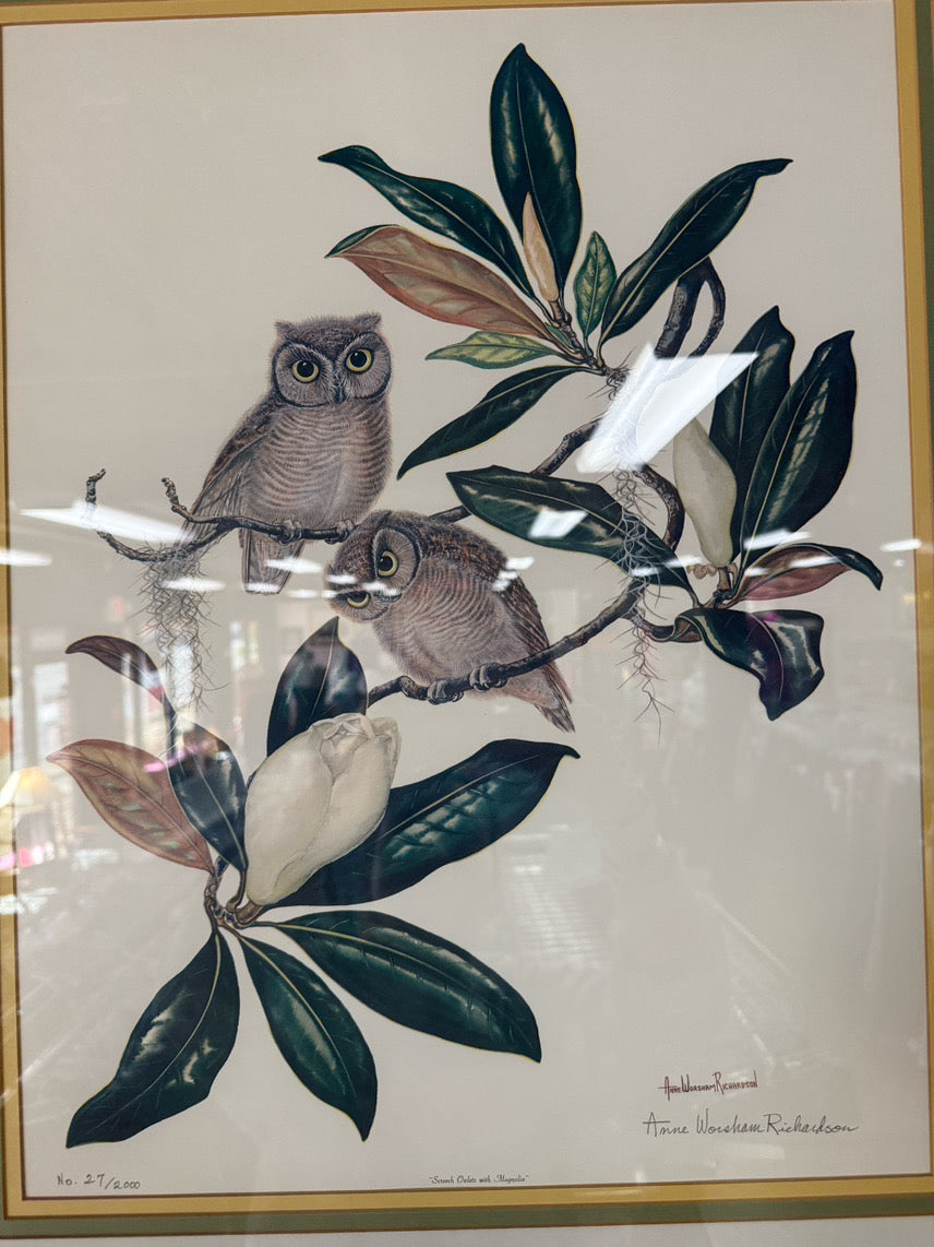 ANN WORSHAM RICHARDSON "Screech Owlets with Magnolia" Signed Print