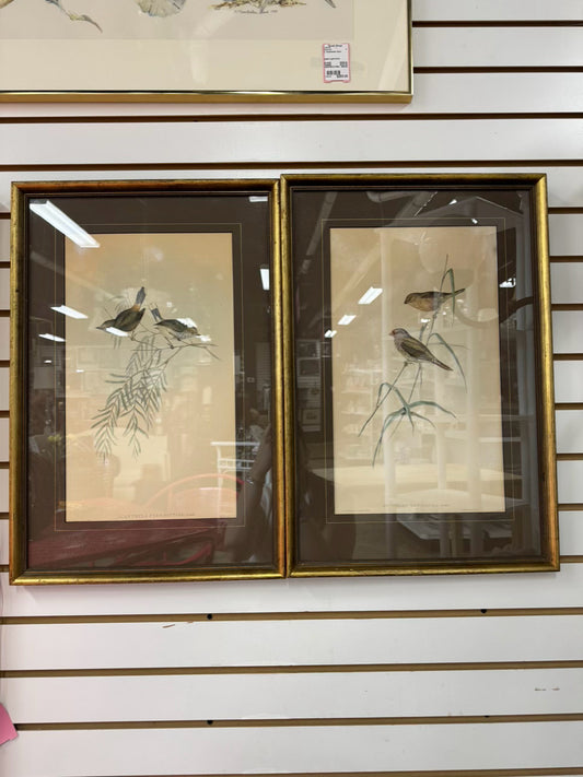 VINTAGE Pair of Hand Colored Bird Prints w/ Brown Mats in Gold Frames