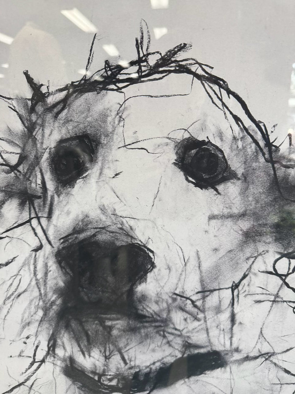 VALORIE DAVIDE "Rex" Print in Brushed Silver Frame