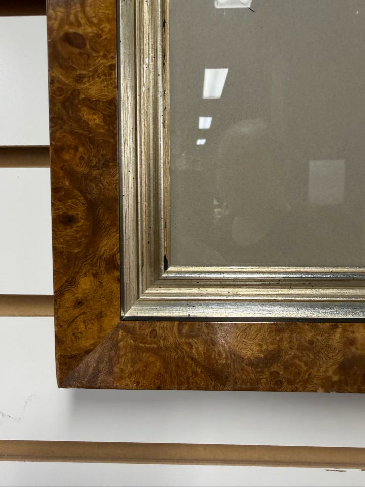 Oedicnemus Crepitans Lithograph In Brown Frame w/ Cream Linen Mat