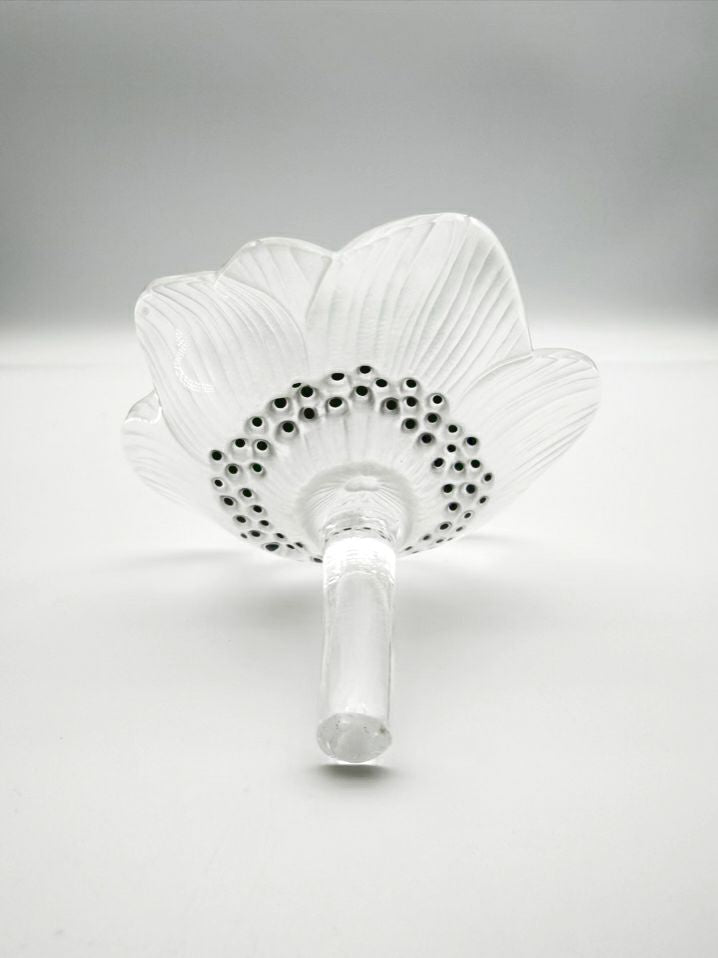 SIGNED LALIQUE Frosted Glass Anemone Object