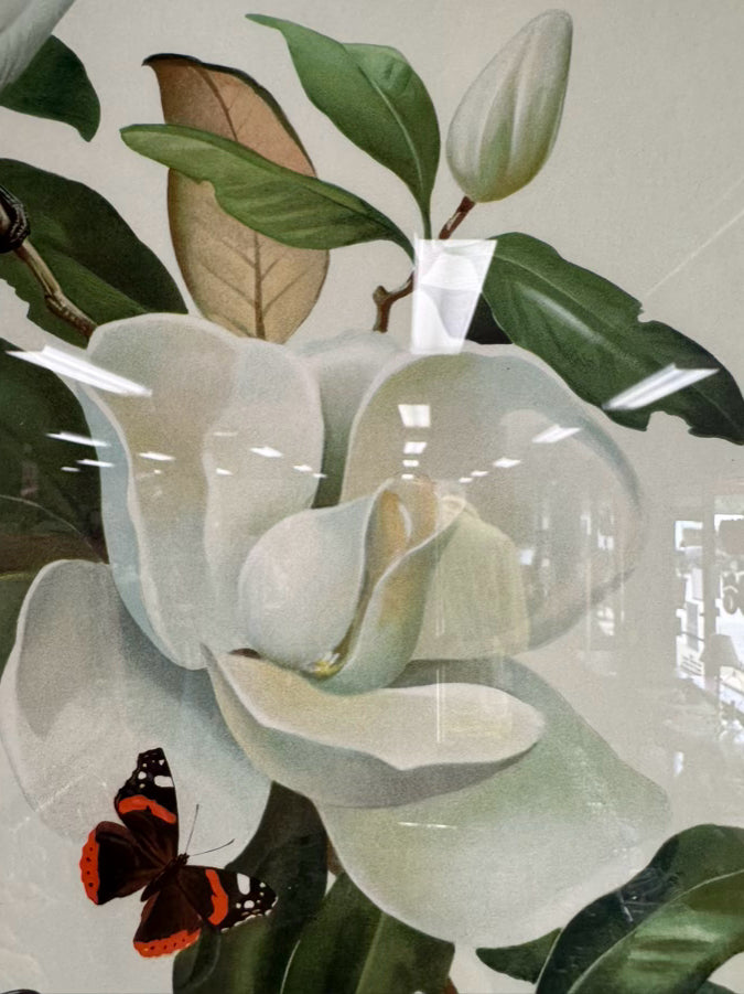 ROGER TORY PETERSON Pair of Birds Paintings in Gold & Wood Frames