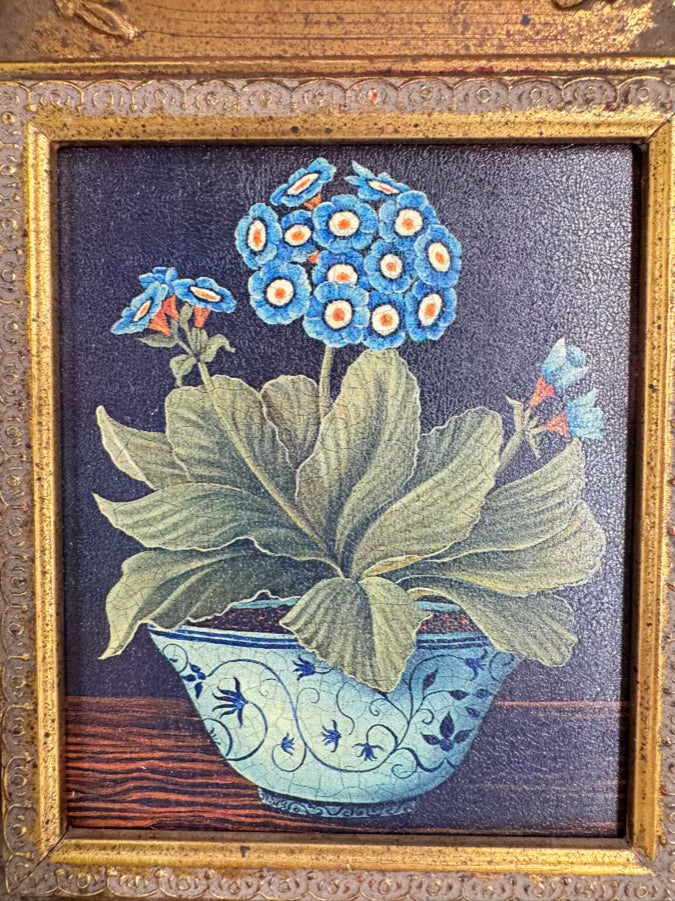 Pair of Flowers Prints in Gold Frames