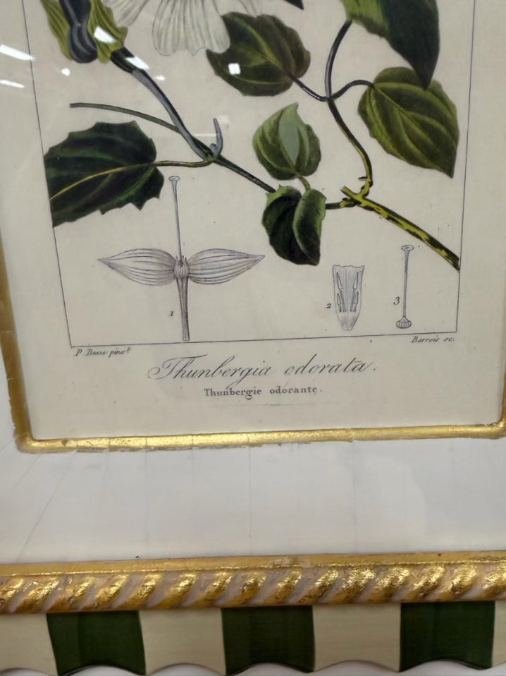 TROWBRIDGE Green & White Flower Botanicals Set Of 6 Framed Prints