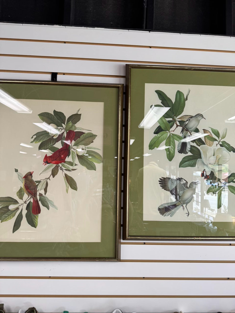 ROGER TORY PETERSON Pair of Birds Paintings in Gold & Wood Frames
