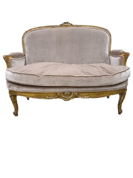 Gold French Louis XV Wood Carved Sofa