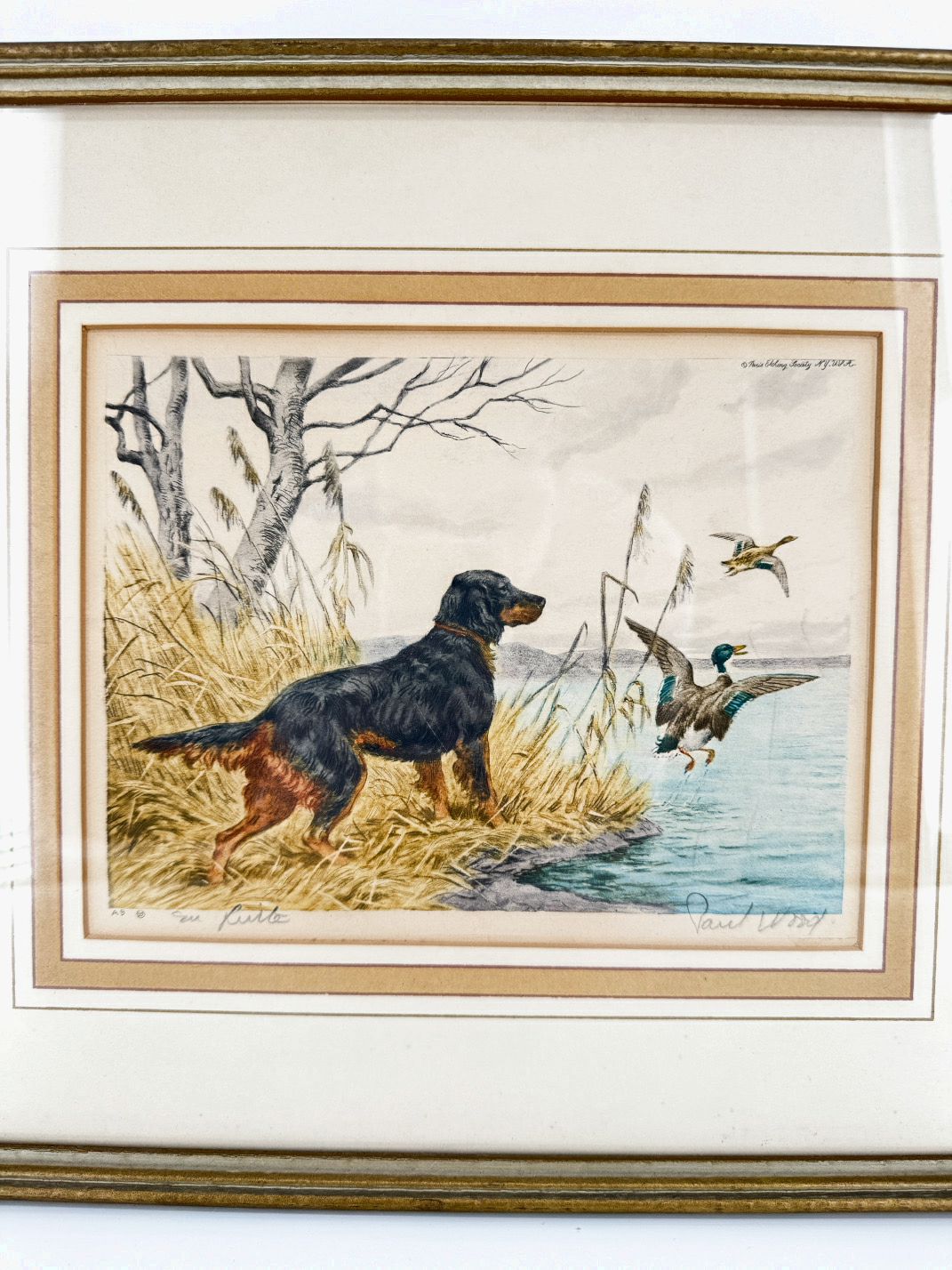 PAUL WOOD Dog Watching Ducks Watercolor