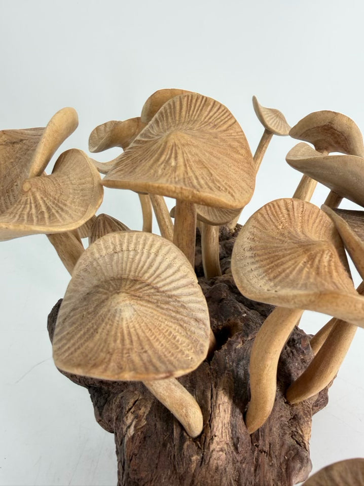 Tan & Brown Wood Carved Mushrooms On Wood Base