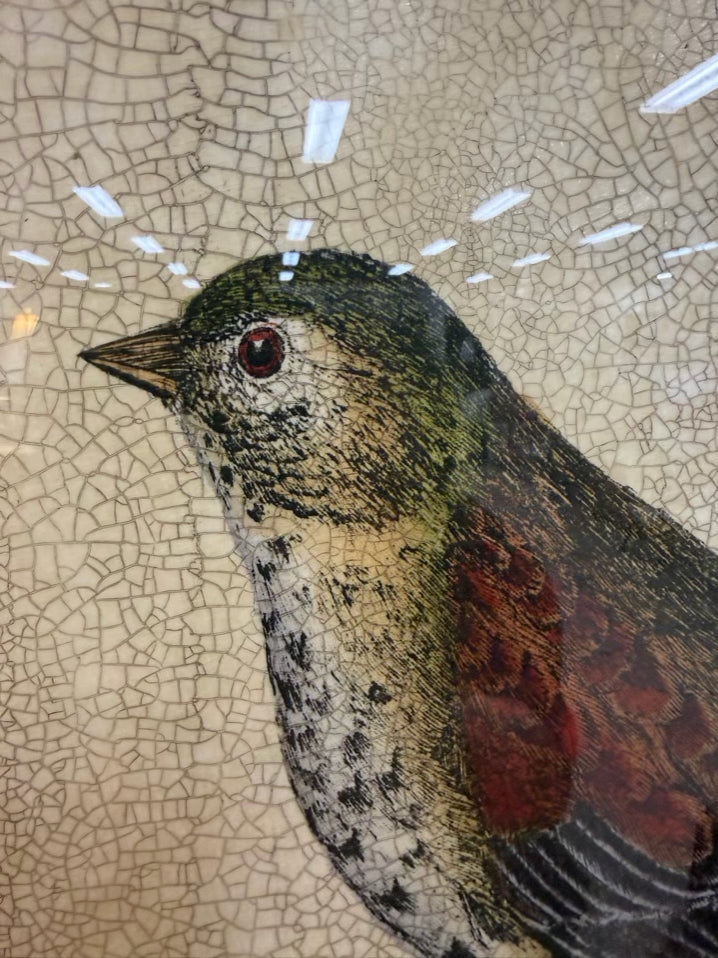 Large Bird Framed Print w/ Brick Colored Fabric Mat