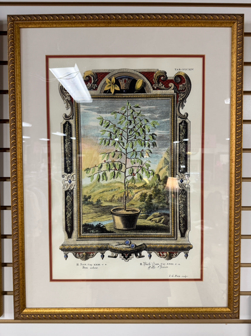 Bon Arbor Hand-Colored Copper Plate Engraving in Gold Frame