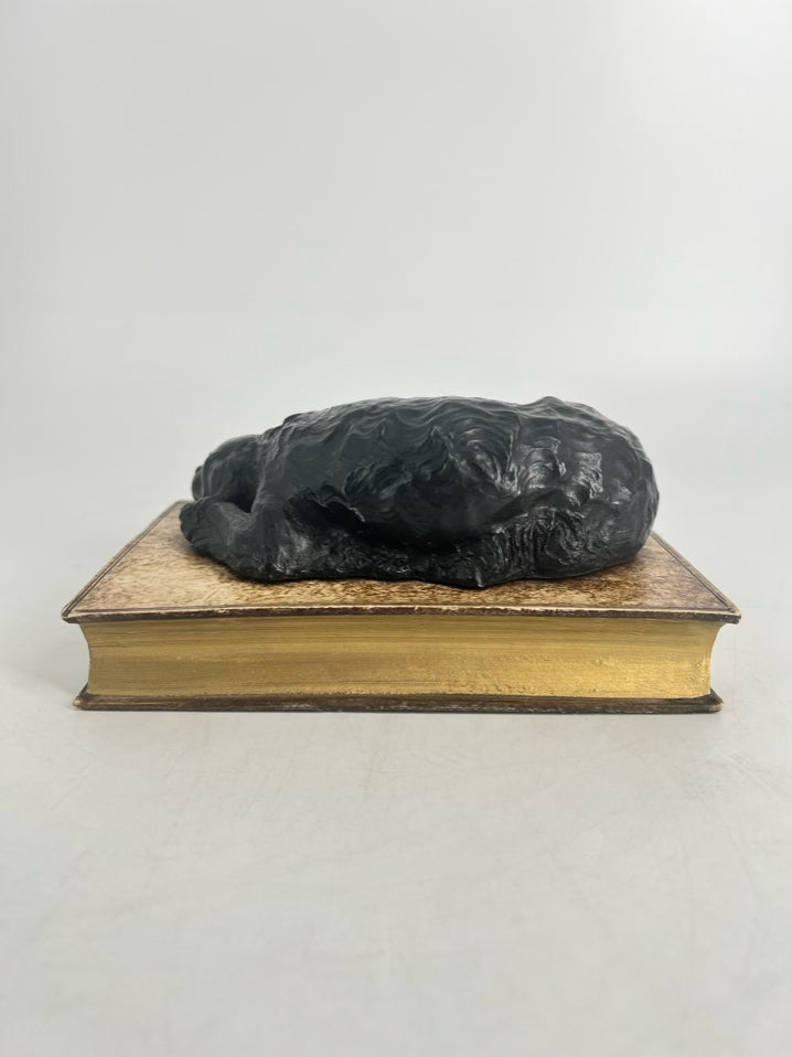 Black & Gold Resin Dog Book Paperweight