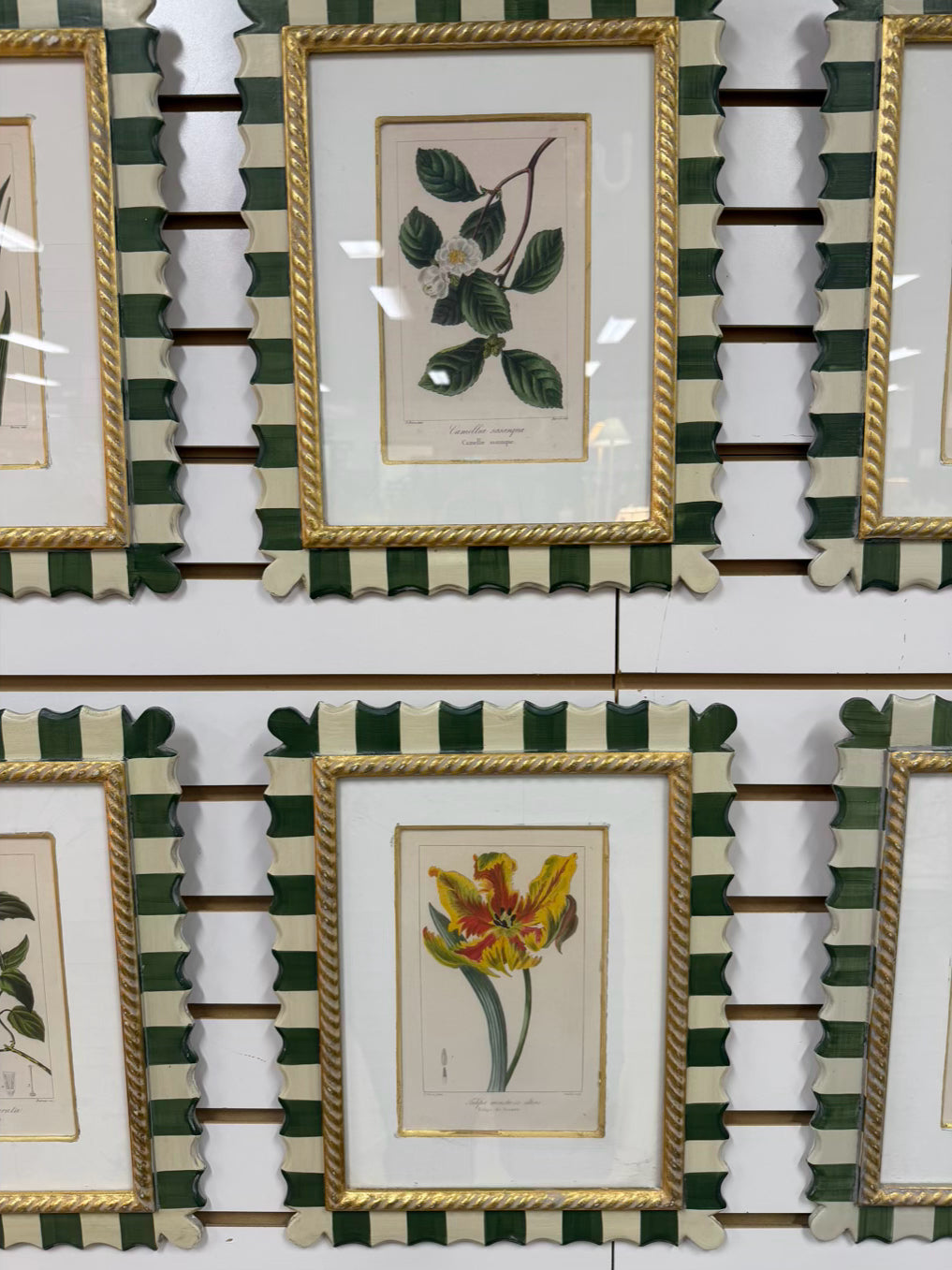 TROWBRIDGE Green & White Flower Botanicals Set Of 6 Framed Prints