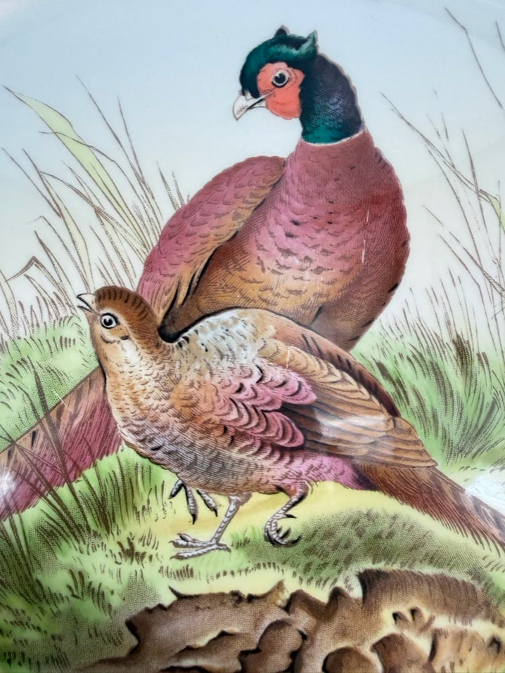 SPODE China Woodland Pheasants Platter