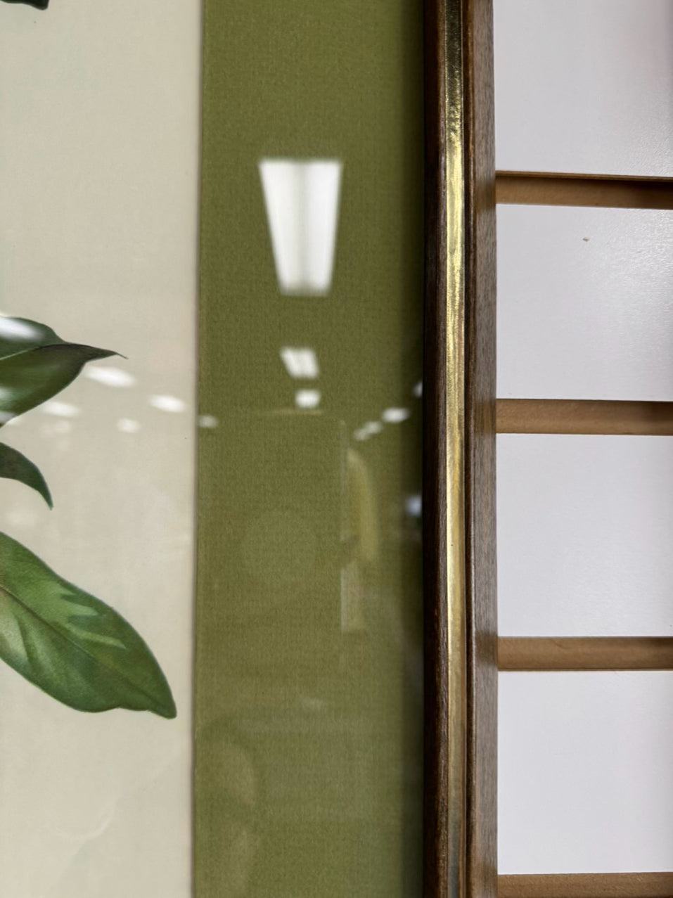 ROGER TORY PETERSON Pair of Birds Paintings in Gold & Wood Frames