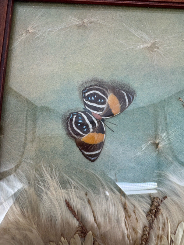 VINTAGE Glass & Wood Pressed Butterflies & Milkweed Tray