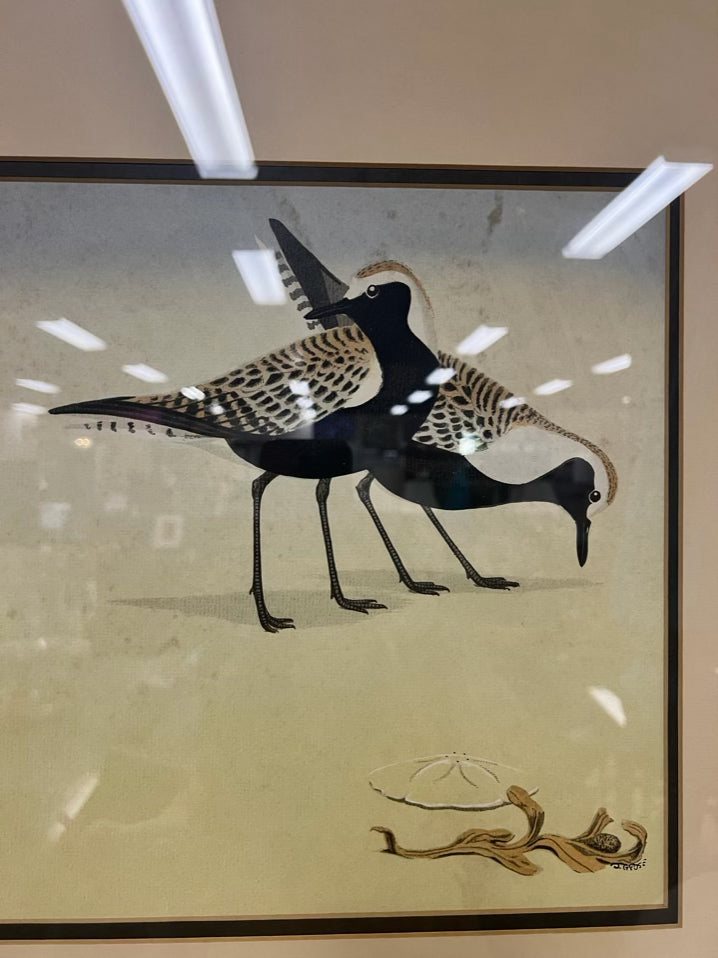 D. GROSE Hand Colored Black Bellied Plovers Lithograph in Brushed Gold Frame