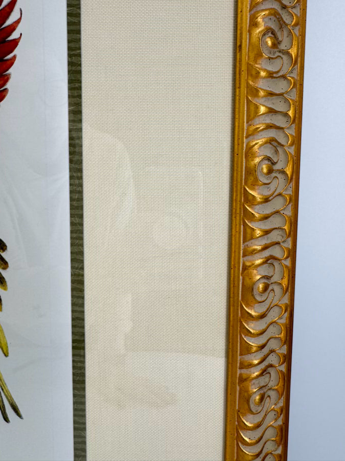 CHELSEA HOUSE KATHLEEN CASSEL Birds Lithograph in Gold Frame