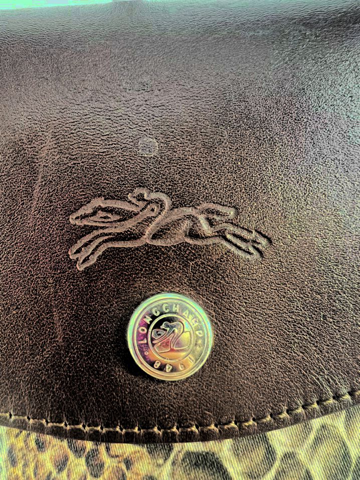 LONGCHAMP Brown & Gray Nylon Animal Print Tote Bag