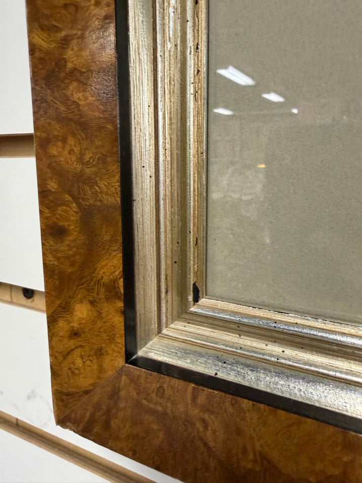 Oedicnemus Crepitans Lithograph In Brown Frame w/ Cream Linen Mat
