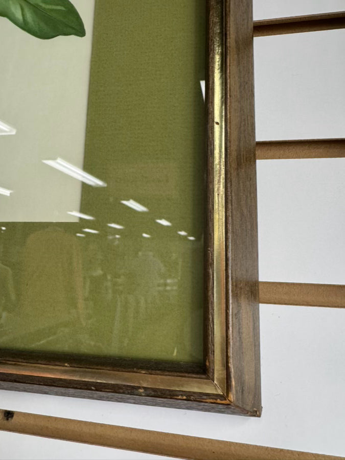 ROGER TORY PETERSON Pair of Birds Paintings in Gold & Wood Frames