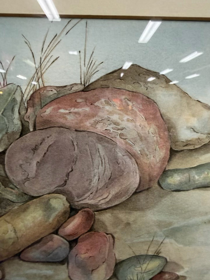ANN DAVIS Watercolor Rock In Brown Frame
