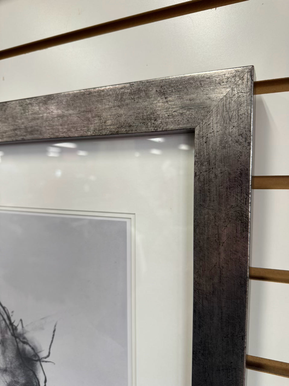 VALORIE DAVIDE "Rex" Print in Brushed Silver Frame