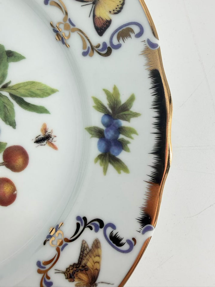 VICTORIA ROYALS Multi Colored China Setting of 4 Salad & 4 Dinner Plates