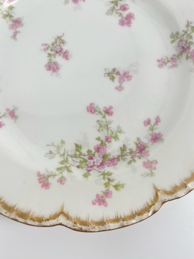 LIMOGES Pink Flowers W/ Gold Trim Set of 6 Plates
