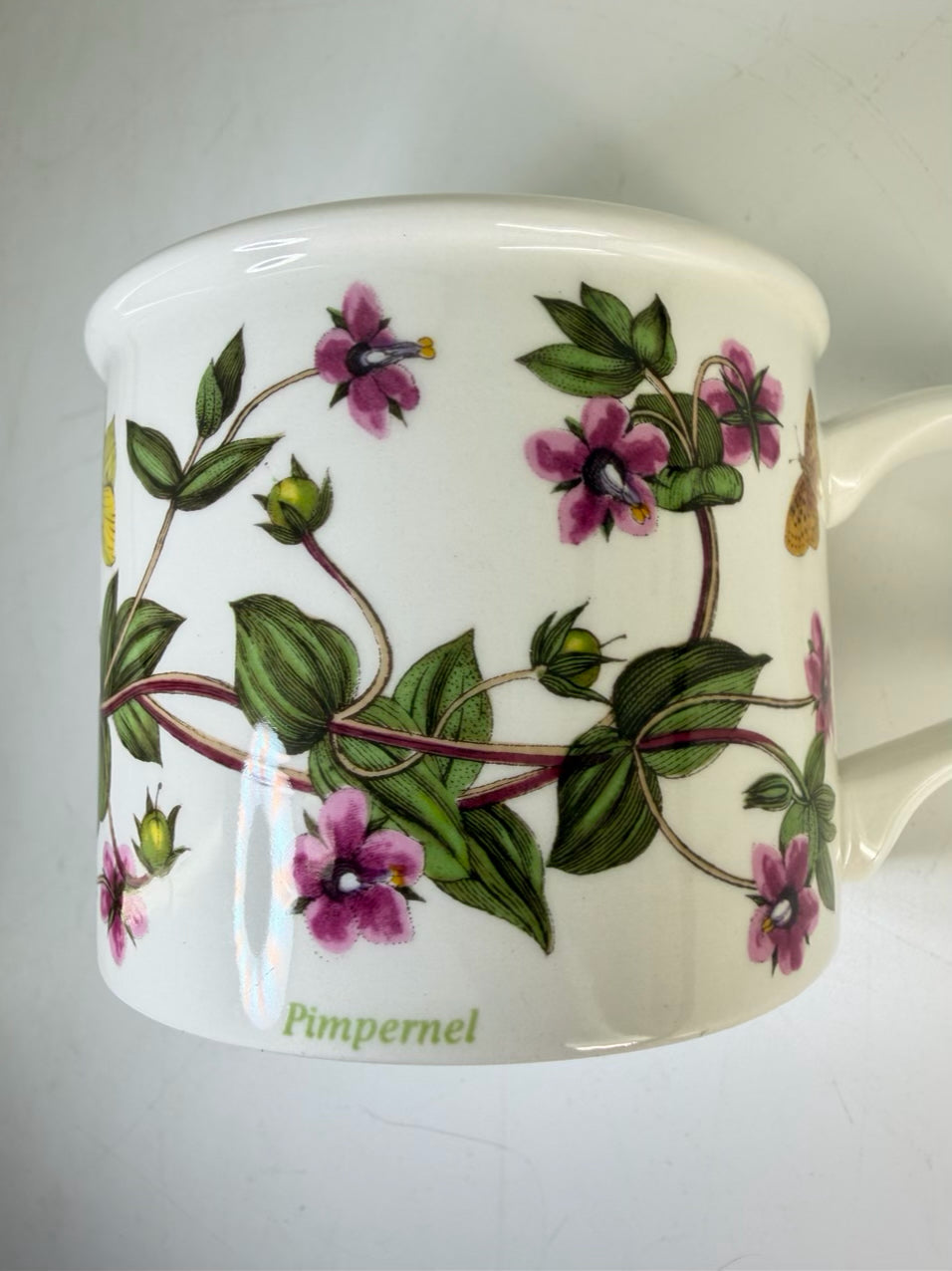 PORT MEIRION The Botanic Garden Tea Set w/ 4 Cups, Saucers, Cream & Sugar