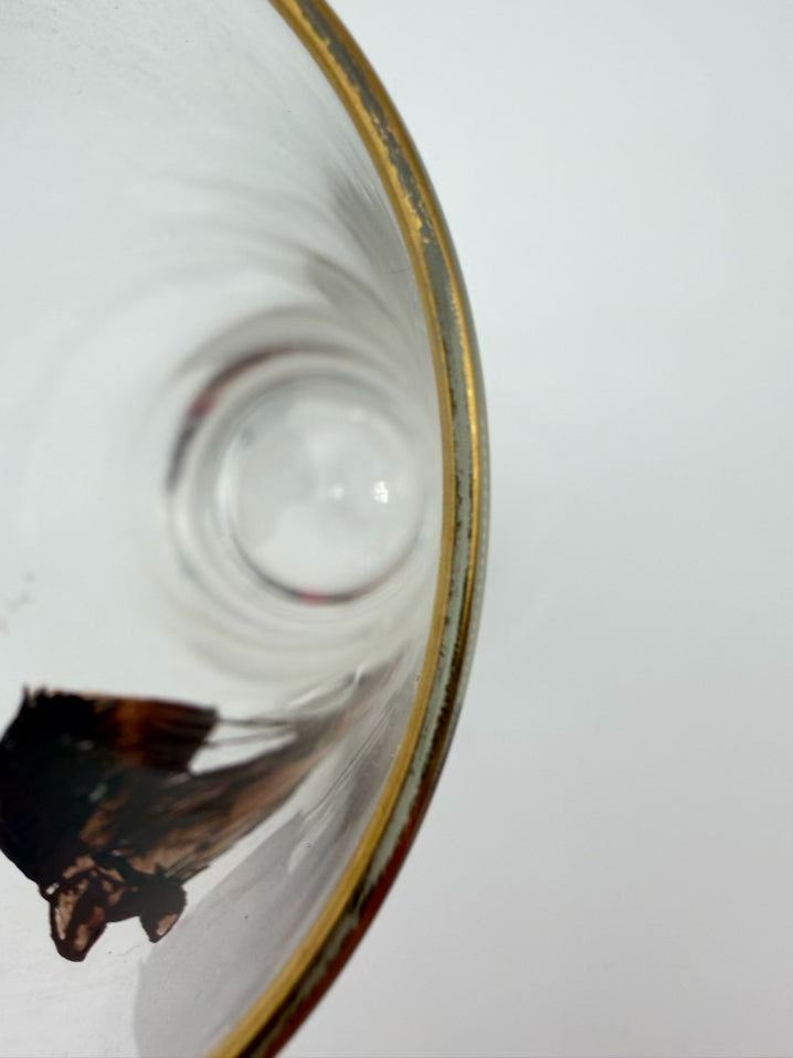 Mid-Century Horse Head Clear Glass Set Of 6 Glasses