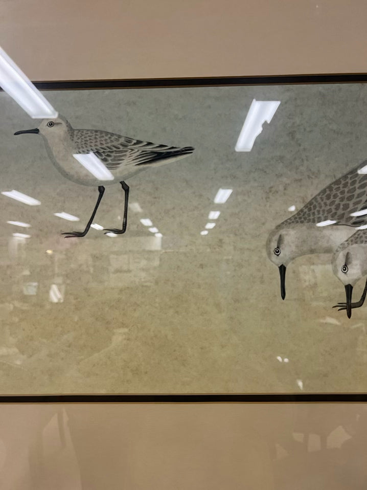 D. GROSE Hand Colored Sandpipers Lithograph in Brushed Gold Frame