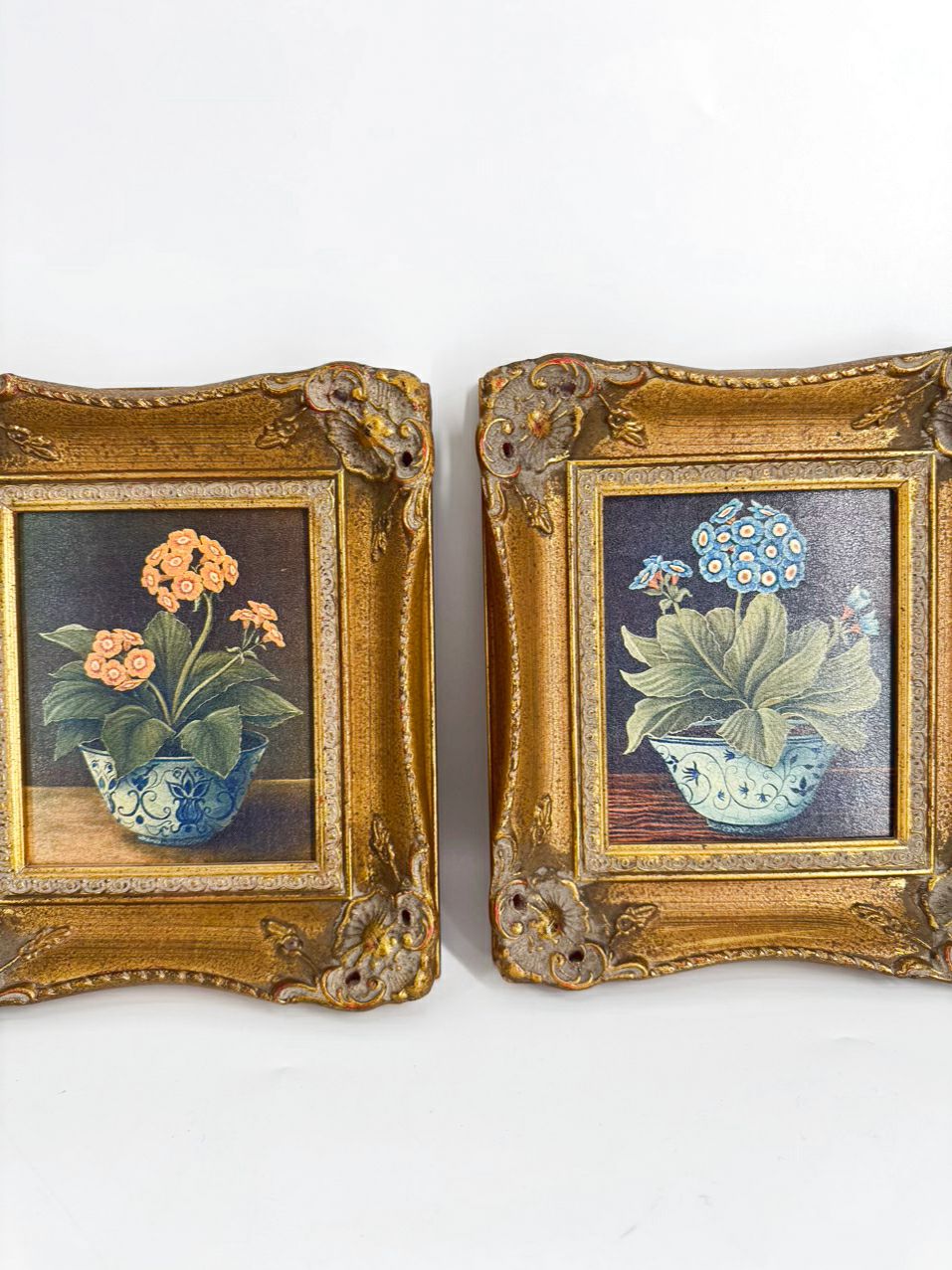 Pair of Flowers Prints in Gold Frames