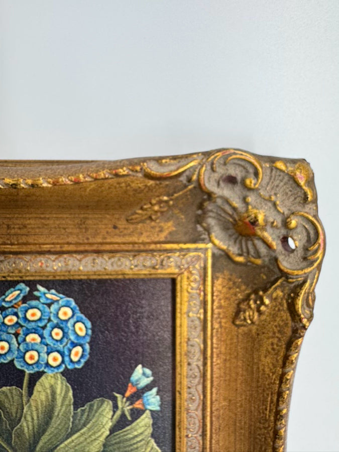 Pair of Flowers Prints in Gold Frames