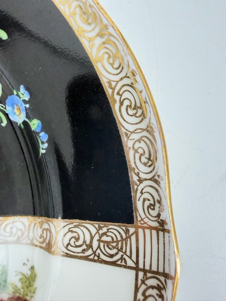 DRESDEN Multi Colored Porcelain Set Of 11 Plates w/ Flower Design