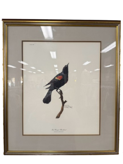 SIGNED RAY HARM Red Winged Blackbird Print In Gold Frame