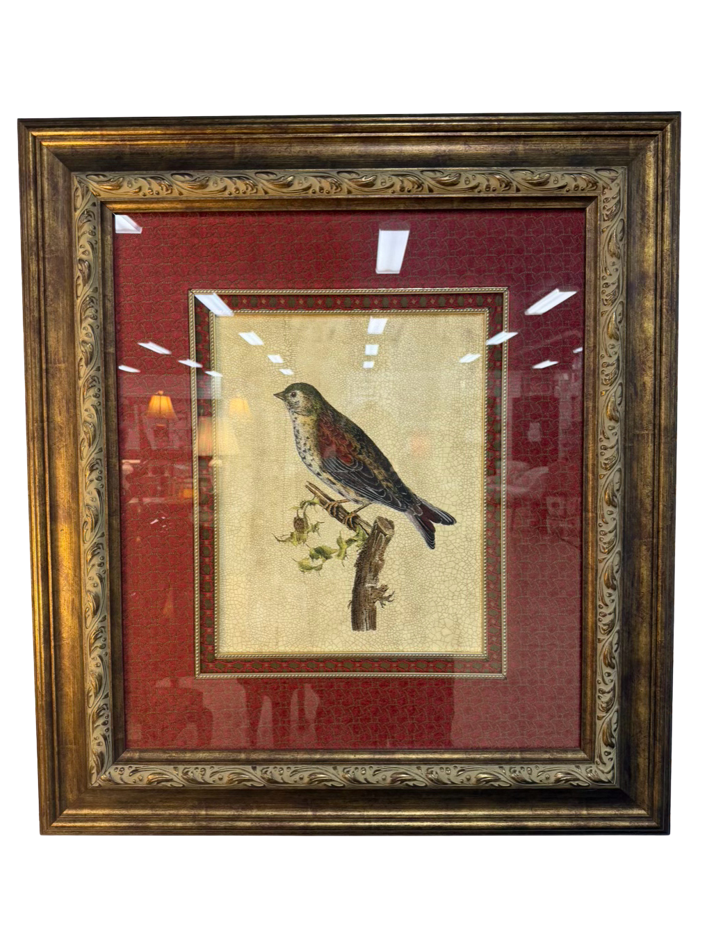 Large Bird Framed Print w/ Brick Colored Fabric Mat