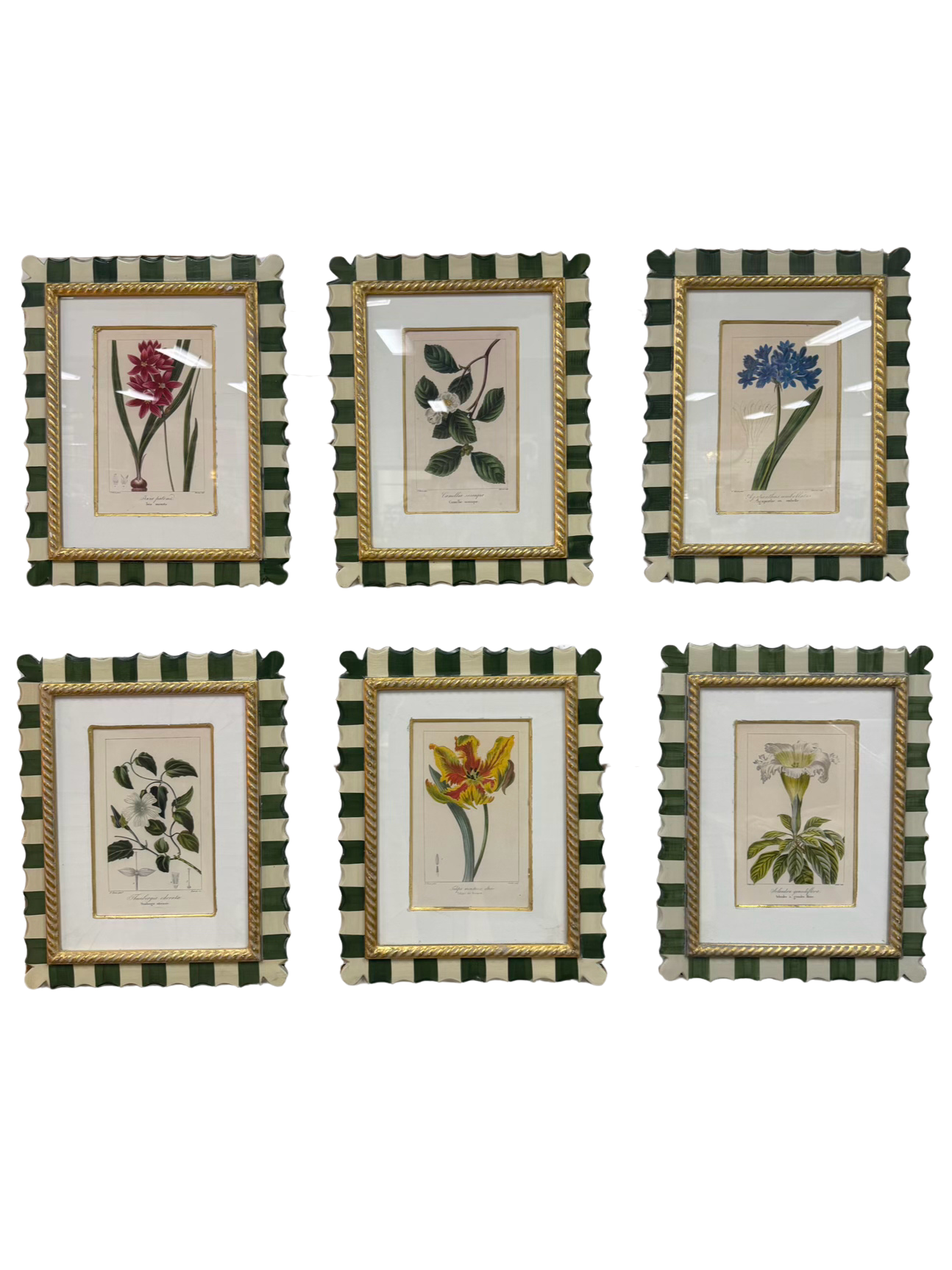 TROWBRIDGE Green & White Flower Botanicals Set Of 6 Framed Prints