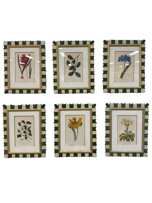 TROWBRIDGE Green & White Flower Botanicals Set Of 6 Framed Prints