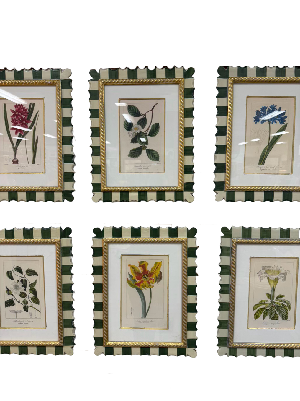 TROWBRIDGE Green & White Flower Botanicals Set Of 6 Framed Prints