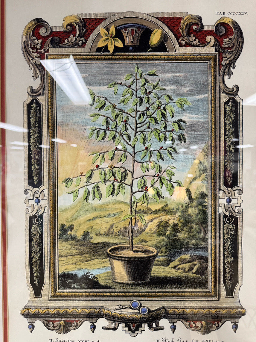 Bon Arbor Hand-Colored Copper Plate Engraving in Gold Frame