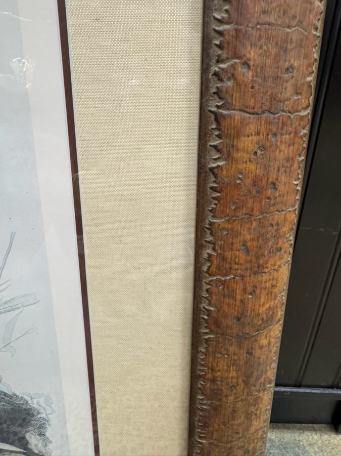 AUDUBON "Wild Turkey" Engraving in Brown Frame