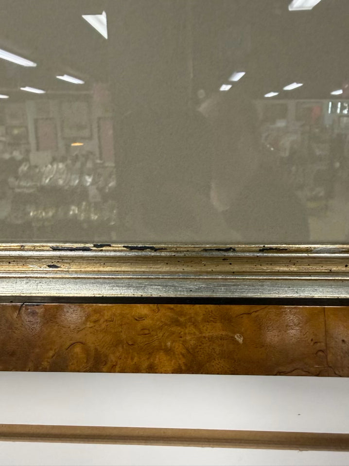 Larus Argentaus Lithograph In Brown Frame w/ Cream Linen Mat