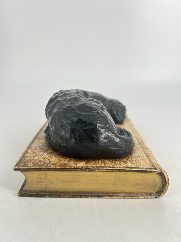 Black & Gold Resin Dog Book Paperweight