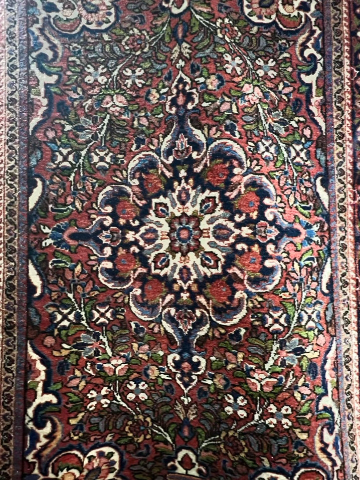 ORIENTAL Pink, Blue, & Green Wool Area Rug
