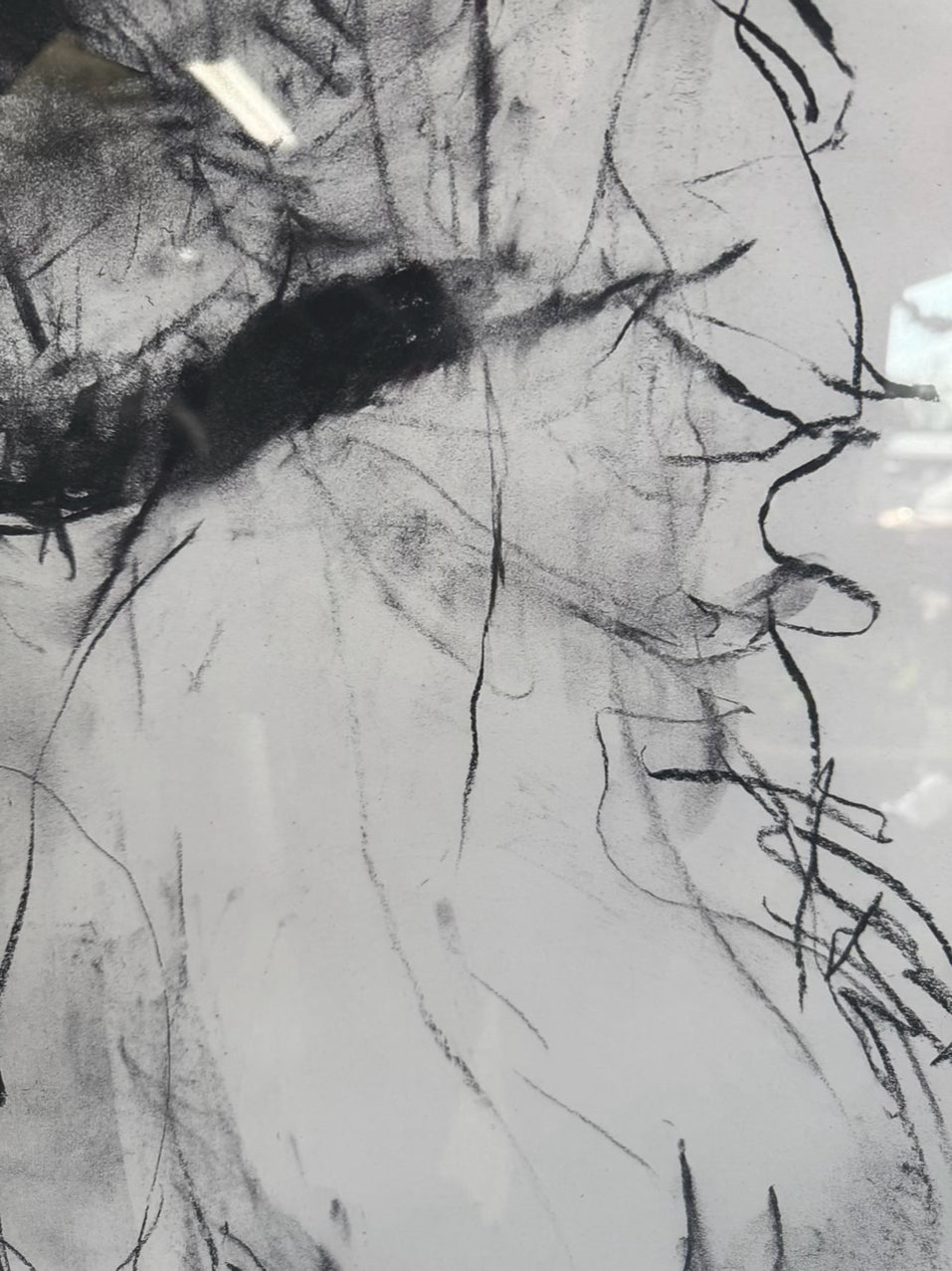 VALORIE DAVIDE "Rex" Print in Brushed Silver Frame