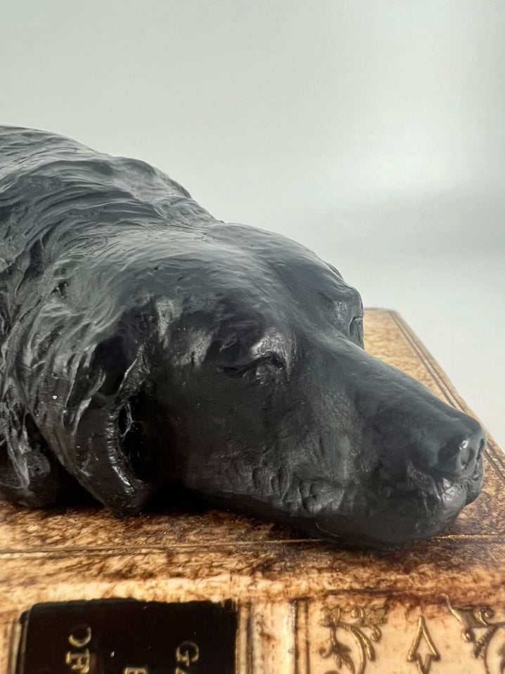 Black & Gold Resin Dog Book Paperweight